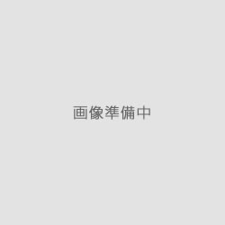 馬肉　馬大動脈(せんぽこ)